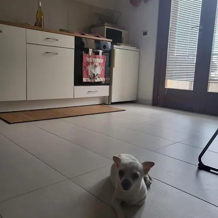 Studio_suite05 Alba Adriatica